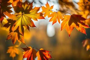 herfst bladeren zijn getoond in de zonlicht. ai-gegenereerd foto