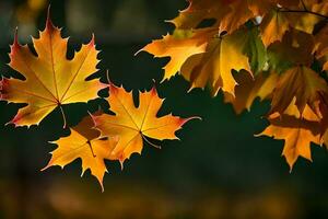 herfst bladeren, herfst, herfst bladeren, herfst bladeren, herfst bladeren behang, herfst bladeren behang. ai-gegenereerd foto