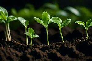 jong planten ontspruiten van de bodem. ai-gegenereerd foto