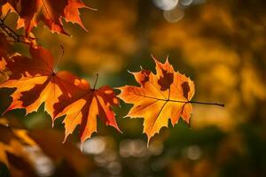 herfst bladeren, herfst, herfst bladeren, herfst bladeren, herfst bladeren, herfst bladeren, herfst. ai-gegenereerd foto