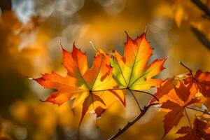herfst bladeren, herfst, herfst bladeren, herfst bladeren, herfst bladeren, herfst bladeren, herfst. ai-gegenereerd foto