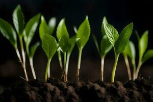 jong planten ontspruiten van de bodem. ai-gegenereerd foto