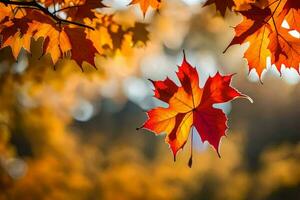 herfst bladeren zijn getoond in de zon. ai-gegenereerd foto