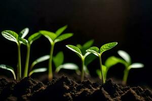 jong planten ontspruiten van de bodem. ai-gegenereerd foto