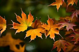 herfst bladeren, herfst, bladeren, bladeren, herfst, bladeren, herfst, bladeren, herfst. ai-gegenereerd foto