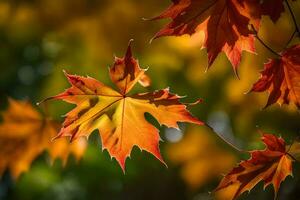 herfst bladeren zijn getoond in deze foto. ai-gegenereerd foto