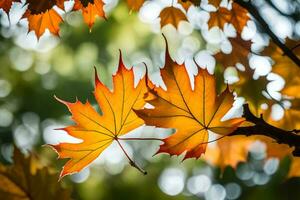 herfst bladeren Aan een boom Afdeling. ai-gegenereerd foto