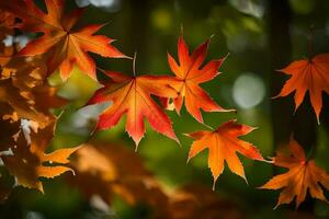 herfst bladeren zijn getoond in deze foto. ai-gegenereerd foto