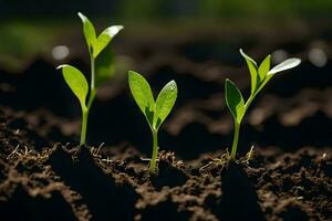 drie jong planten groeit in de bodem. ai-gegenereerd foto