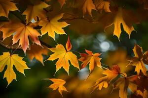 herfst bladeren Aan een boom. ai-gegenereerd foto