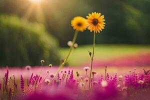 foto behang veld, de zon, bloemen, de zon, de zon, de zon, de. ai-gegenereerd