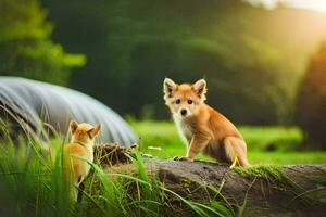 twee klein honden zijn zittend Aan een log in de gras. ai-gegenereerd foto