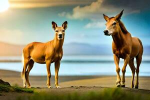 twee paarden staand Aan de strand Bij zonsondergang. ai-gegenereerd foto