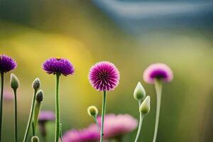 Purper bloemen in de veld. ai-gegenereerd foto