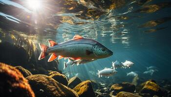 onderwater- vis zwemmen in de rif, presentatie van natuurlijk schoonheid gegenereerd door ai foto