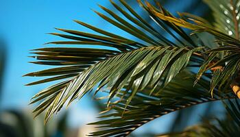 palm boom blad, zomer vakanties, groen plant, tropisch schoonheid gegenereerd door ai foto
