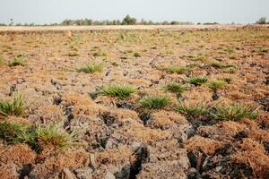 dor bodem in de platteland. foto