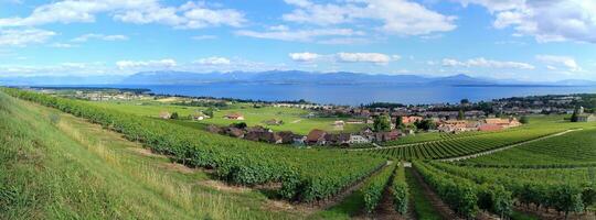 Alpen berg en Genève meer, Zwitserland foto