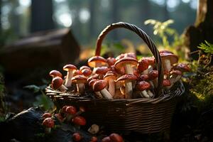 vers geplukt champignons in een mand Aan de herfst, vallen Woud achtergrond. foto