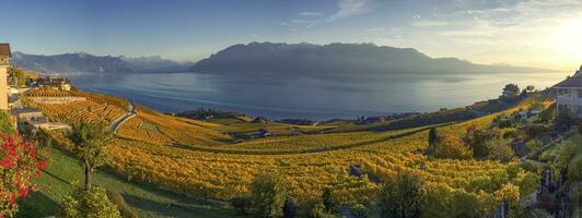 panorama Aan lavaux regio, trots, Zwitserland foto