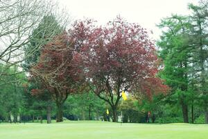 prachtig laag hoek visie van lokaal openbaar park van luton Engeland uk foto