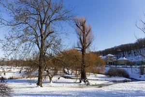 het grootste park in praag stromovka in de besneeuwde winter foto