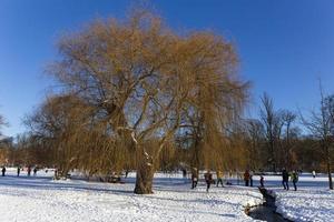 het grootste park in praag stromovka in de besneeuwde winter foto
