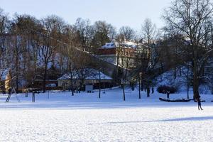 het grootste park in praag stromovka in de besneeuwde winter foto