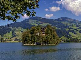 burgruine kasteel Aan schwanau eiland in meer Lauerz, schwyz, Zwitserland foto