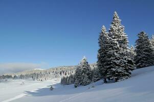 Jura berg in winter, Zwitserland foto