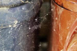 spinnenwebben en stof foto