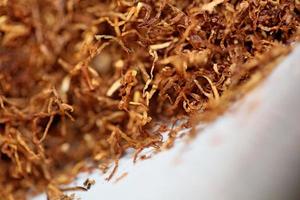 rollende tabak bladeren close-up achtergrond stockfotografie prints foto