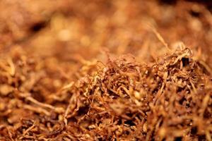rollende tabak bladeren close-up achtergrond stockfotografie prints foto