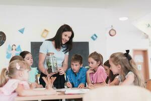 vrouw leraar met kinderen in biologie klasse Bij elementair school- dirigeren biologie of botanisch wetenschappelijk experiment over duurzame groeit planten. aan het leren over planten in een glas pot foto