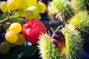 de vruchten van de stekelige kastanje zijn rijp in de herfst foto