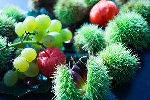 de vruchten van de stekelige kastanje zijn rijp in de herfst foto