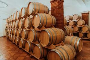 wijn of cognac vaten in de kelder van de wijnmakerij, houten wijn vaten in perspectief. wijn gewelven.vintage eik vaten van ambacht bier of brandewijn. foto