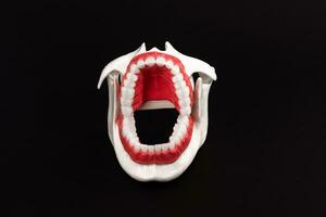 menselijk kaak met tanden en tandvlees anatomie model- geïsoleerd Aan zwart achtergrond. geopend kaak positie. gezond tanden, tandheelkundig zorg, en orthodontisch medisch gezondheidszorg concept. foto
