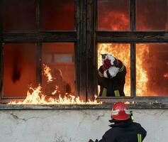 brandweerman held draag- baby meisje uit van brandend gebouw Oppervlakte van brand incident. redden mensen van gevaarlijk plaats foto