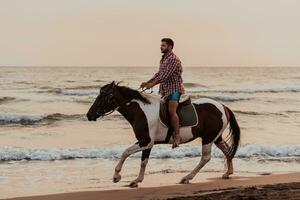 een modern Mens in zomer kleren geniet rijden een paard Aan een mooi zanderig strand Bij zonsondergang. selectief focus foto