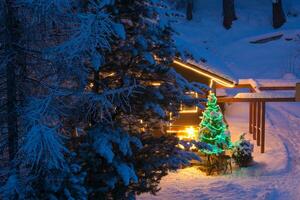 Kerstmis boom buitenshuis decoratie foto