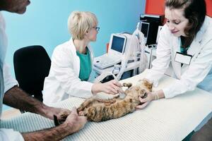 dierenarts en assistent in een dierenkliniek foto