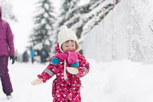 weinig meisje Bij besneeuwd winter dag foto