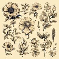 zwart en wit tekeningen van bloemen en planten, hand- tekeningen foto