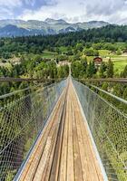 lama geschorst brug, Wallis, Zwitserland foto