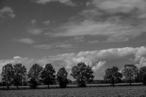 zomer tijd in Westfalen foto