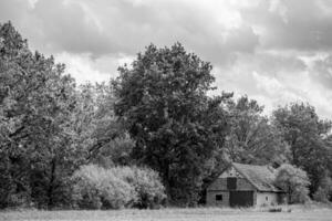 zomer tijd in Westfalen foto