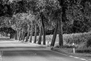 zomer tijd in Westfalen foto