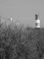 Helgoland eiland in de Noordzee foto