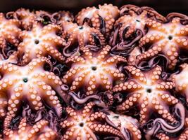 dichtbij omhoog van Octopus in markt foto